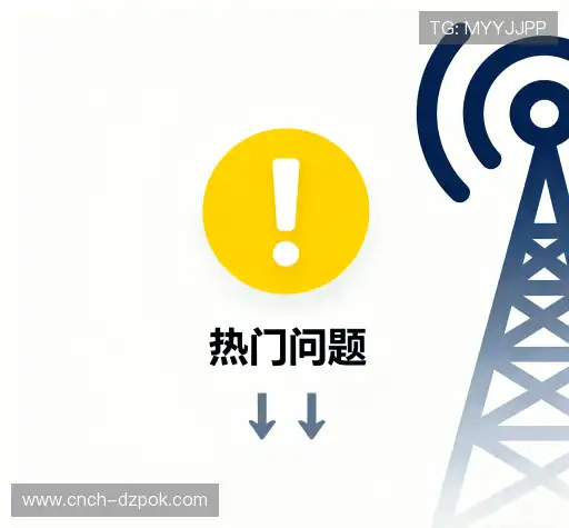 疑问全解